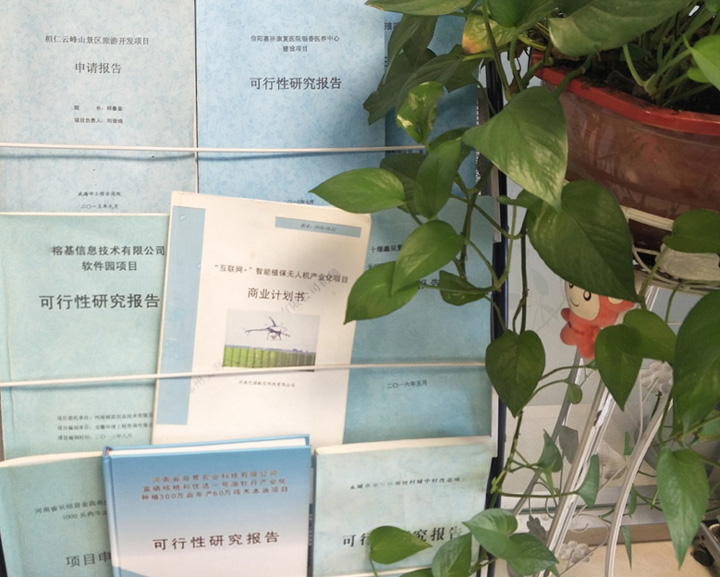 胡杨河市全链条建材可行性研究(全链条建材可行性研究方案)