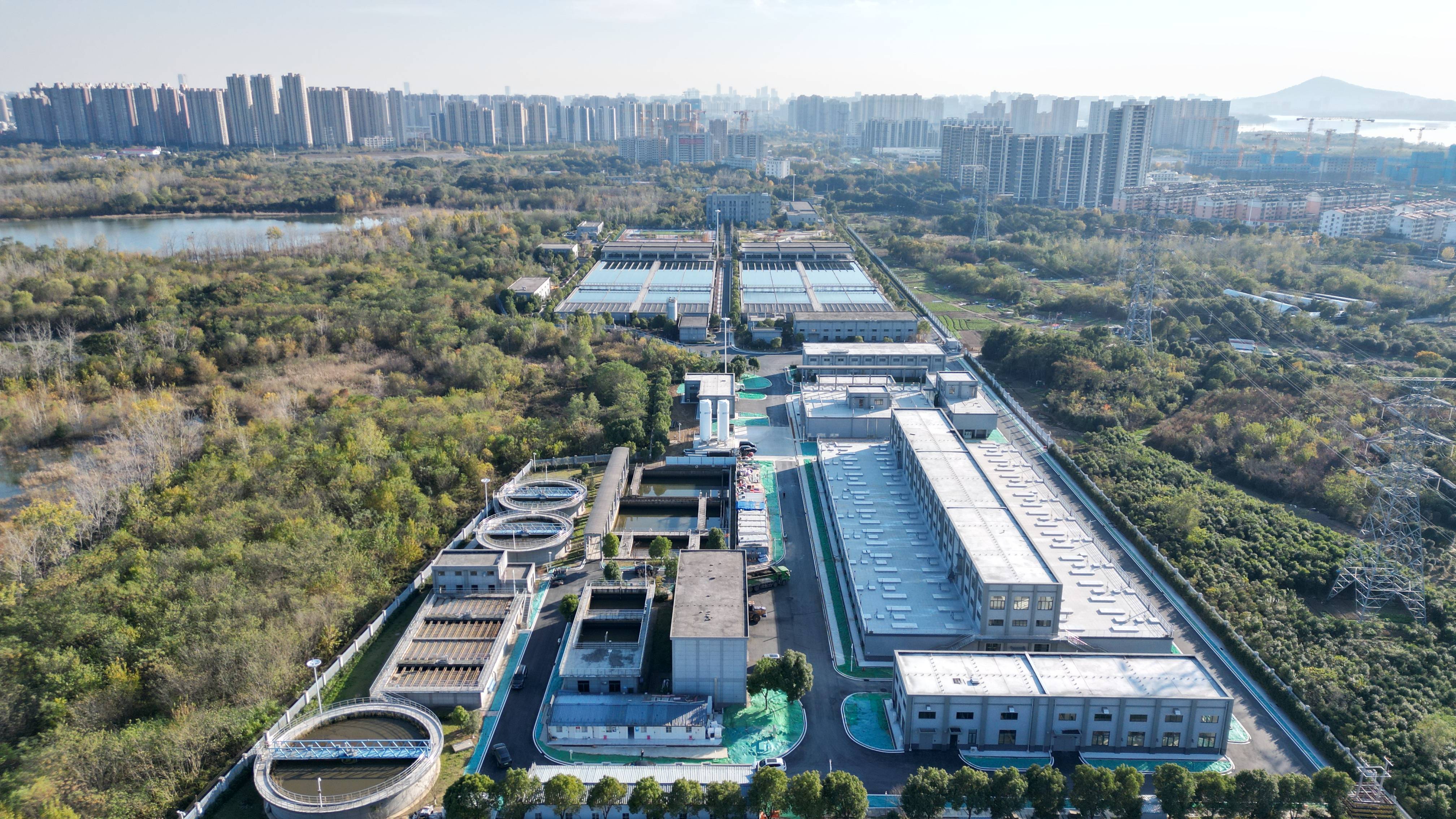 胡杨河市合肥专业企业价值增长(合肥市重点企业产业目录)