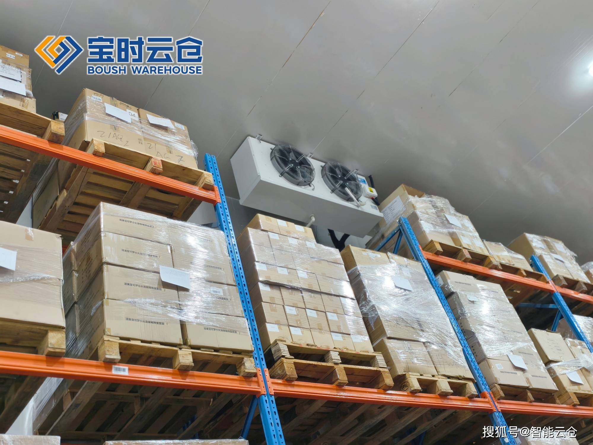 胡杨河市领先物流品牌升级(领先物流服务商是自营物流)