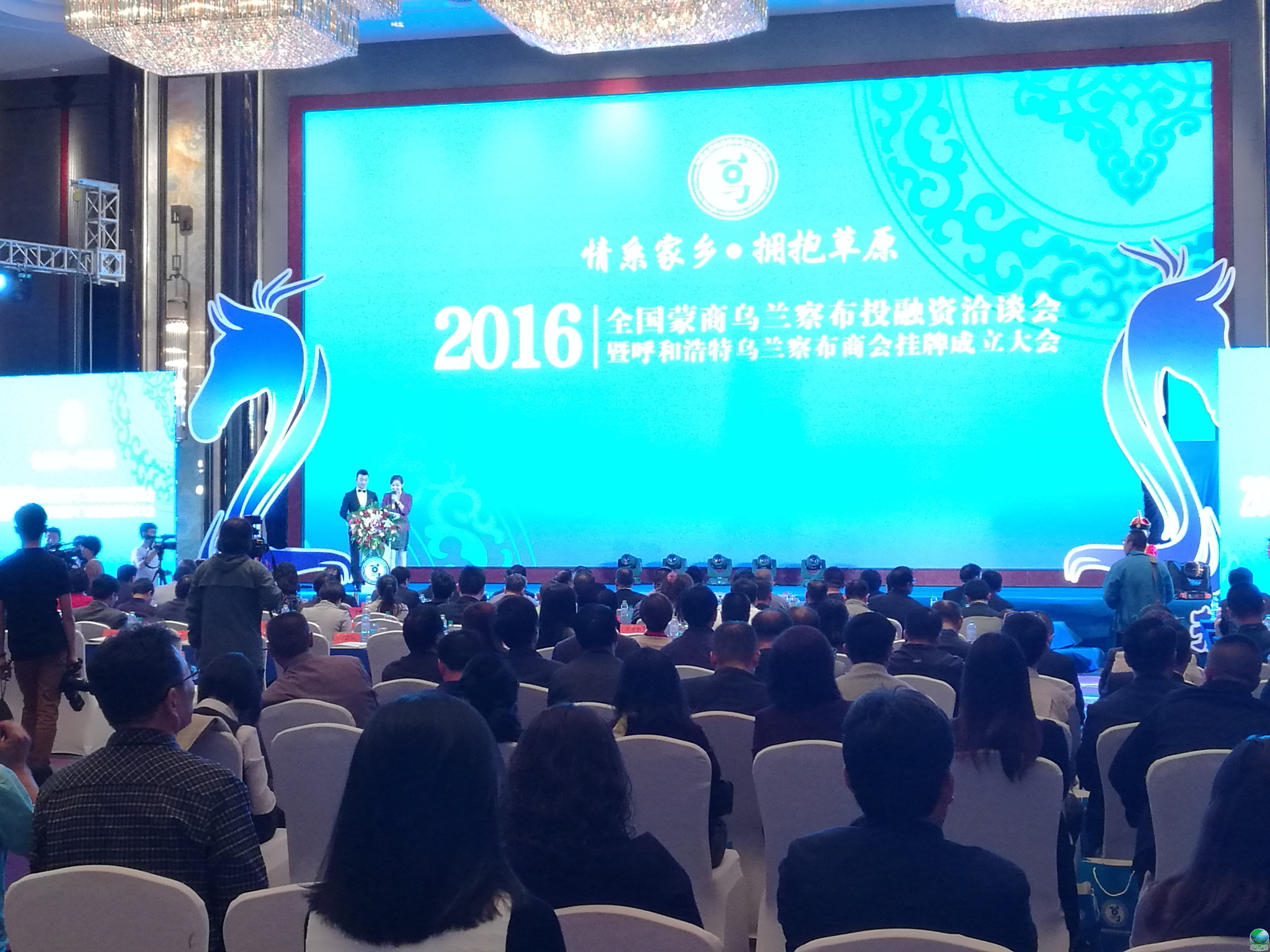 胡杨河市呼和浩特专业投融资服务(呼和浩特市投资有限责任公司)