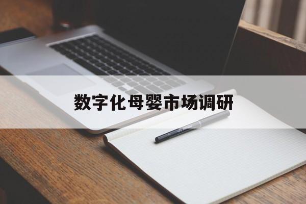 胡杨河市数字化母婴市场调研(数字化母婴市场调研报告)